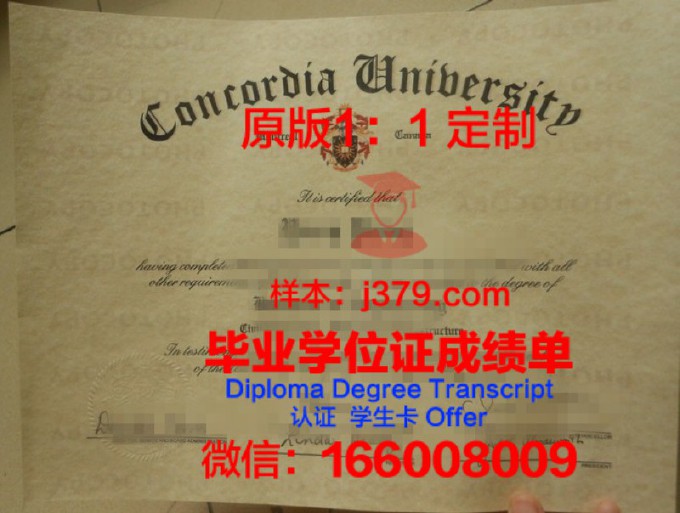 米尼亚大学学位证书(米尼亚大学学位证书有用吗)