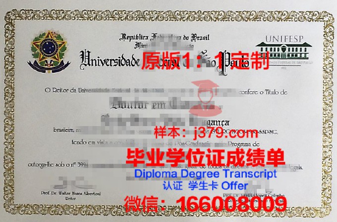马托格罗索州联邦大学diploma证书