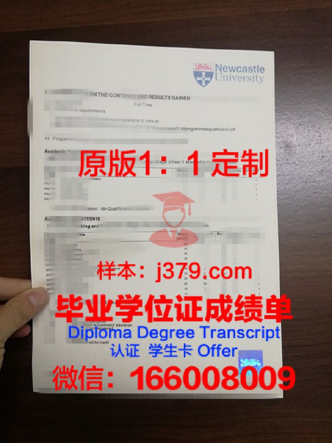 纽约大学证书成绩单(上海纽约大学成绩单模板)