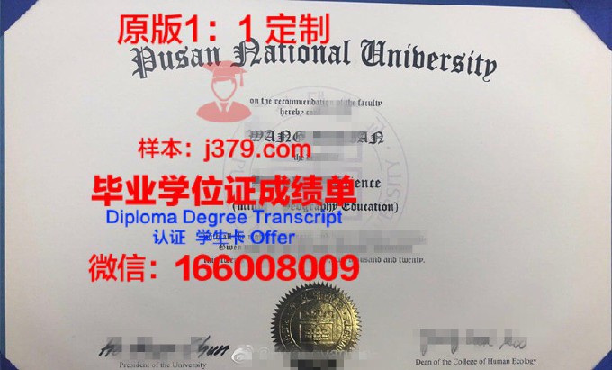 釜山外国语大学毕业证电子版(釜山外国语大学毕业证电子版查询)
