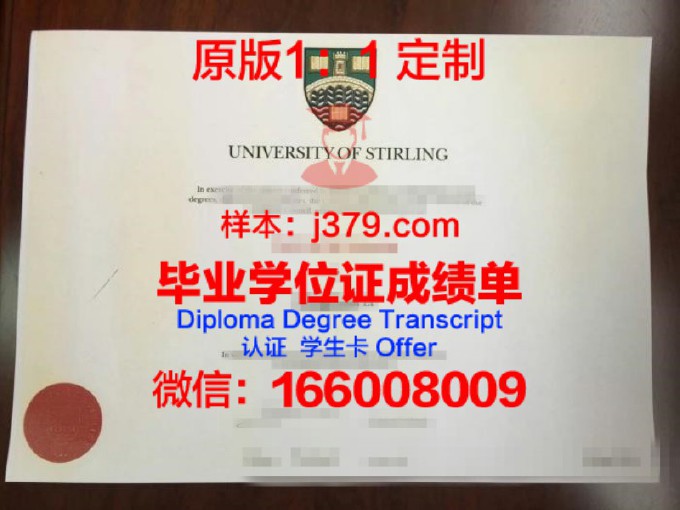 蒂尔堡大学毕业证书(蒂尔堡大学本科申请条件)
