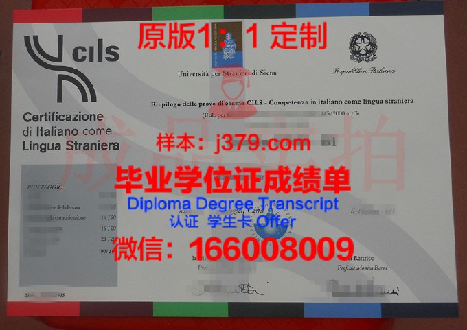 锡耶纳外国人大学diploma证书(锡耶纳大学一年多少钱)