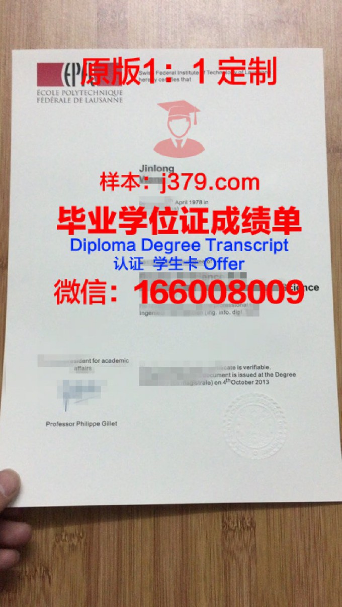 马托格罗索州联邦大学diploma证书