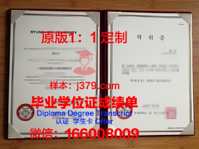 忠南大学学历证书(中南大学学历证书)