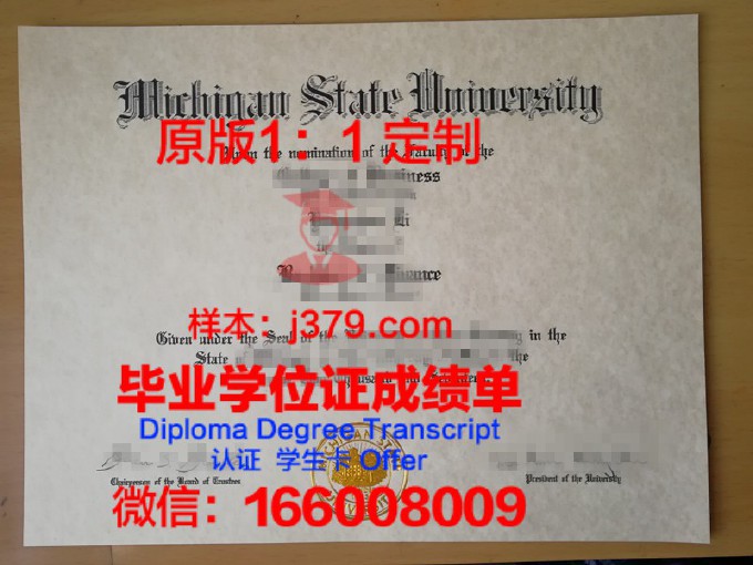 密歇根州立大学毕业证学位证(密歇根州立大学毕业服)