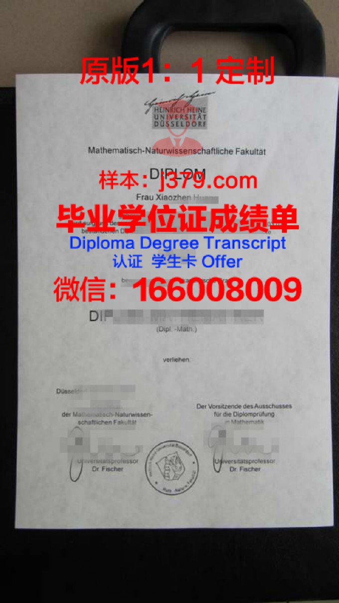 杜塞尔多夫艺术学院diploma证书(杜塞尔多夫音乐学院招生简章)