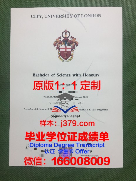 里昂中央理工学院毕业证外壳(理工学校毕业证)